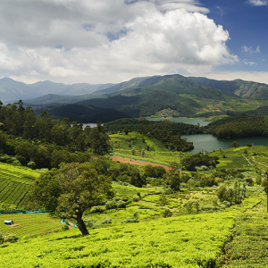 HILL STATION ESCAPES